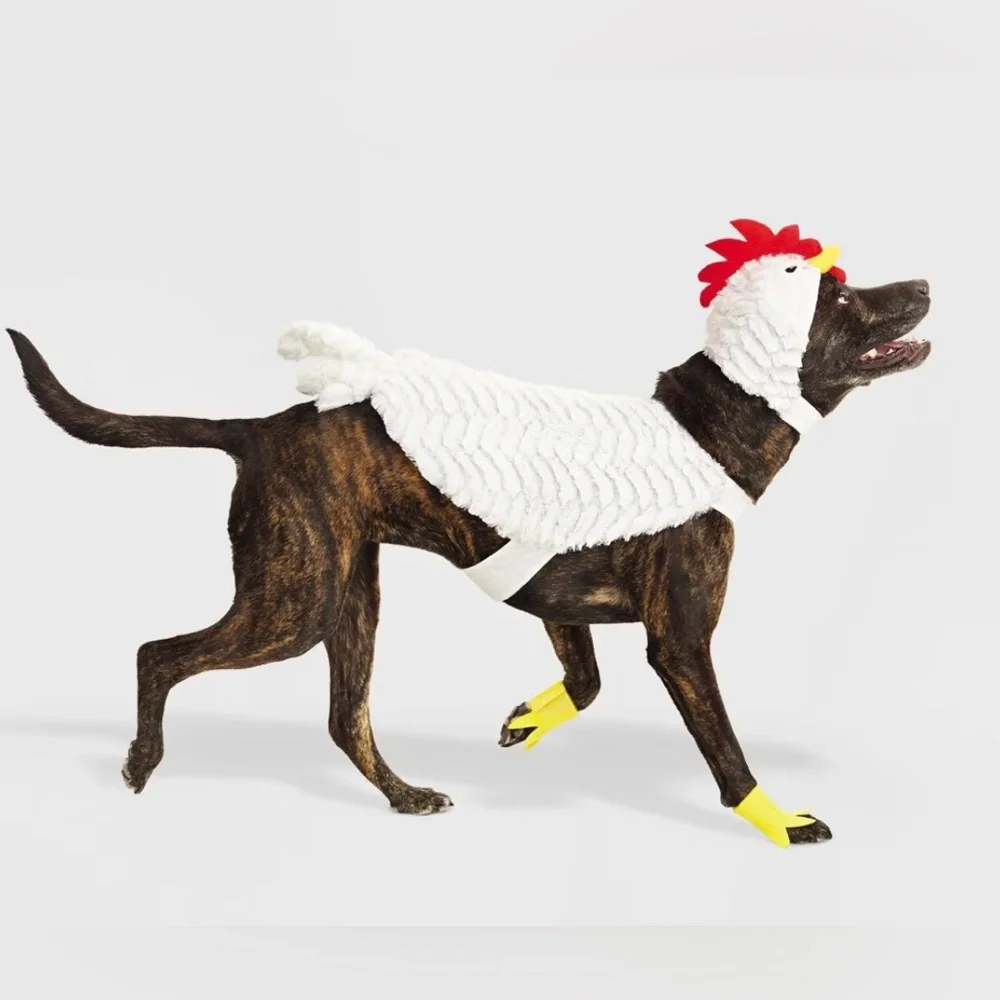 HP 🎉🎉Hyde and Eek Halloween Chicken costume for dog sz M